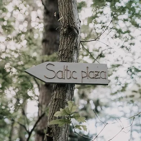 Saltic & Grzybowo Kołobrzeg