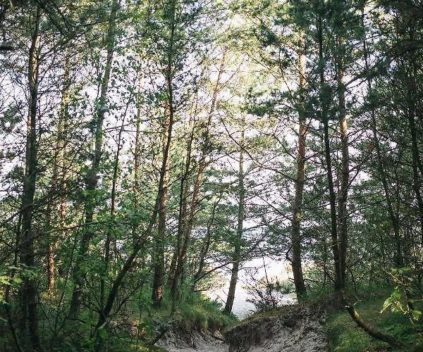 Saltic & Grzybowo Hotel